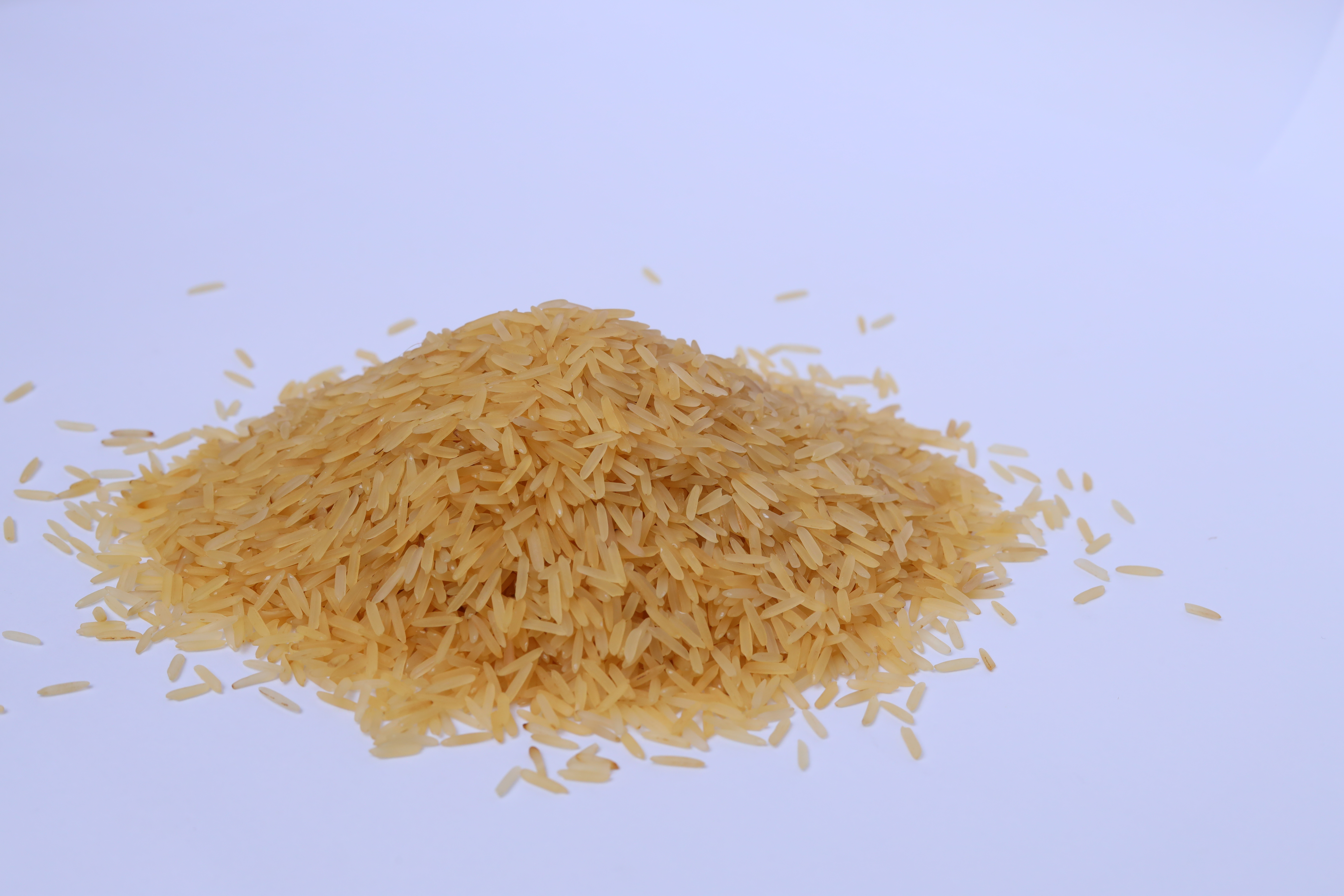 1121 Golden Rice