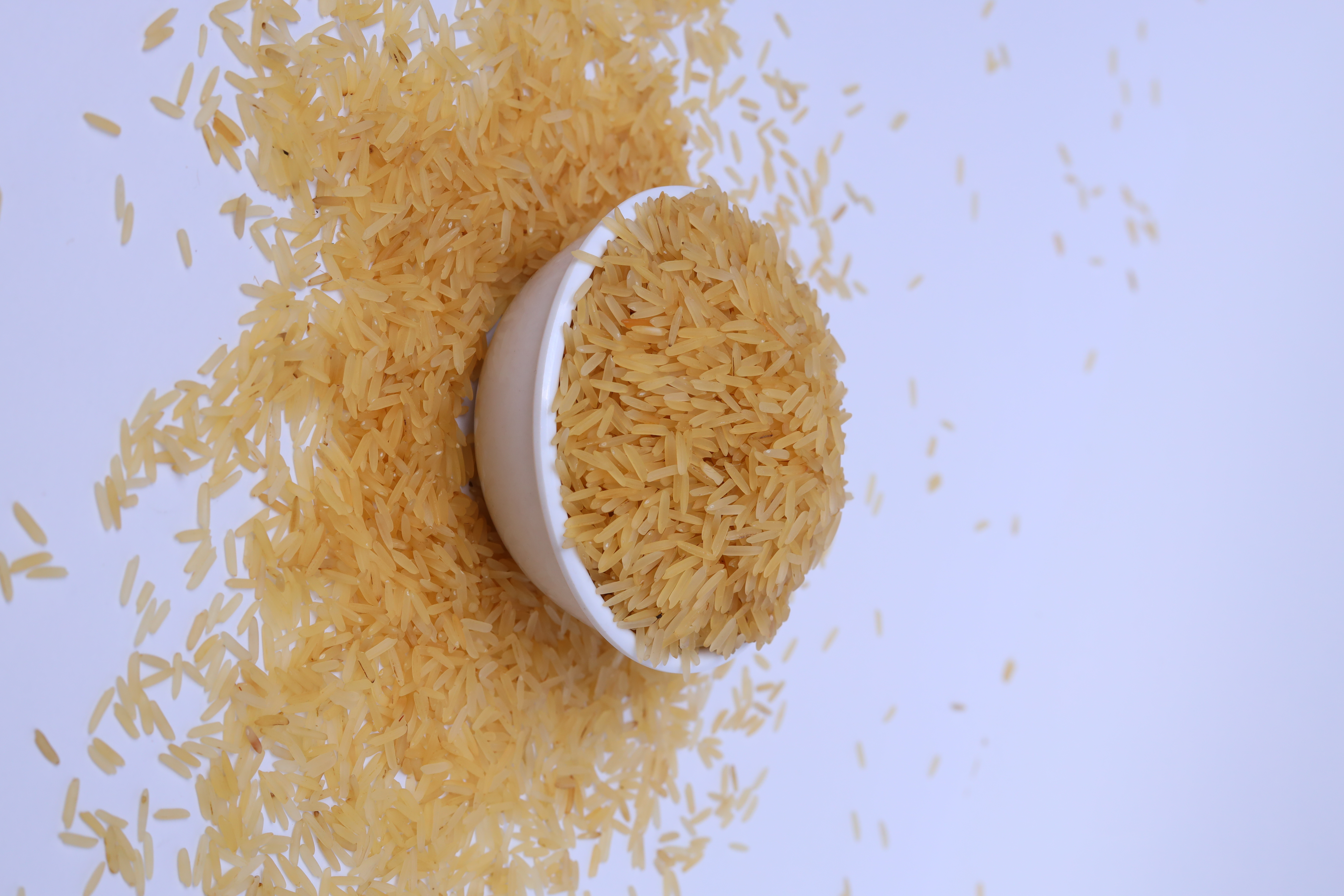 1121 Golden Rice